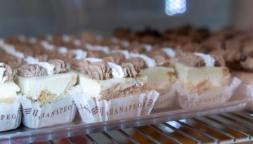 463219807_8678313912229099_4210760088853327143_n-min